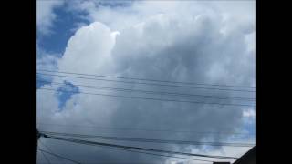 The Pretenders - I'll Stand By You