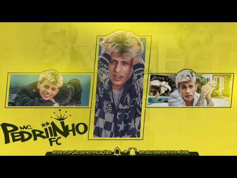 Mc Pedrinho e meno  tody - conquistando meu Reino