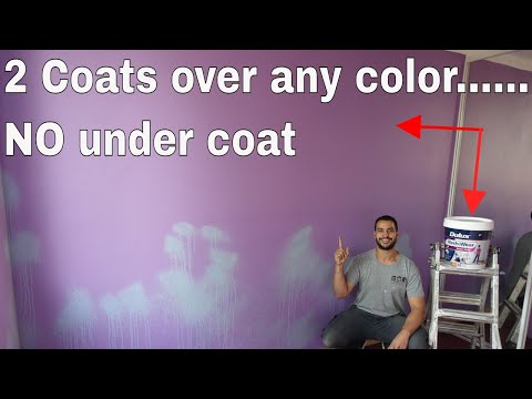 image-Can you get a paint color lightened?