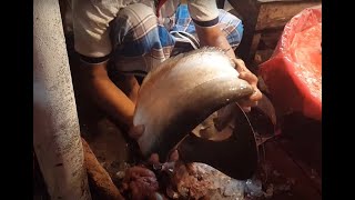 Big Wallago Catfish Fish (Boal Fish) Cutting Into Small Pieces - Big Catfish Slice In BD Fish Market