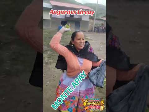 Monte apay en Angaraes Lircay Huancavelica