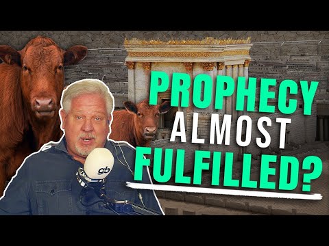 Is the 'Red Heifer Prophecy' in Israel about to be Fulfilled?