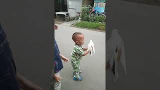 Download lagu bocil main burung merpati mp3 Download lagu bocil main burung merpati mp3