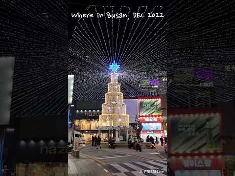 #korea #busan #travel #travelvlog #부산여행 #2022 광복로 겨울빛 트리축제 #축제