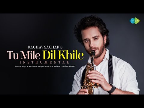 Tu Mile Dil Khile - Instrumental | Raghav Sachar | Official Video | Criminal | Instrumental Music