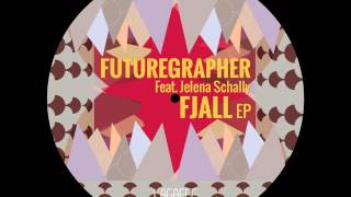 Futuregrapher - Bjarni