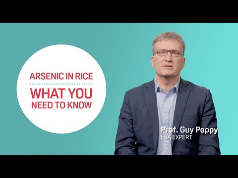 FSA Explains: Arsenic in rice