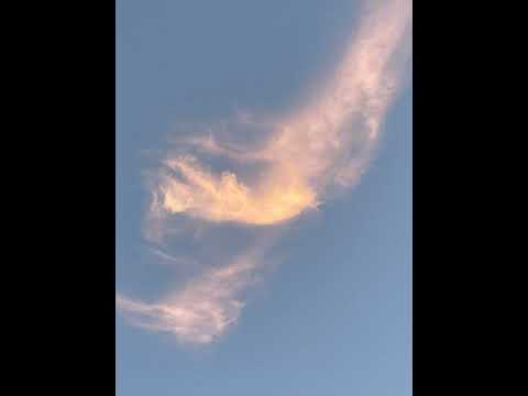 Around the world 1hr loop