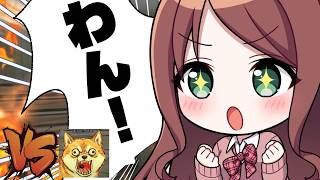 【ワンワンバトル】負け犬♡ざ～こざ～こ♡吠え面なさけな～い