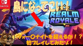 【Realm Royale β版】洋ゲー紹介！Switch版バトロワ！初プレイ！