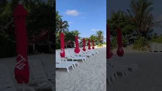 マーフシ島