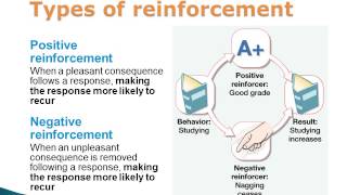Operant Conditioning: Positive and Negative Reinforcement and Punishment