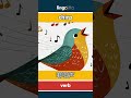 chirp - 唧唧声 video thumbnail