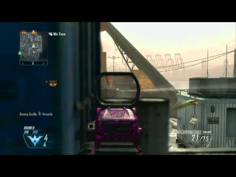 BO2 FAL SUCKS FOR ME