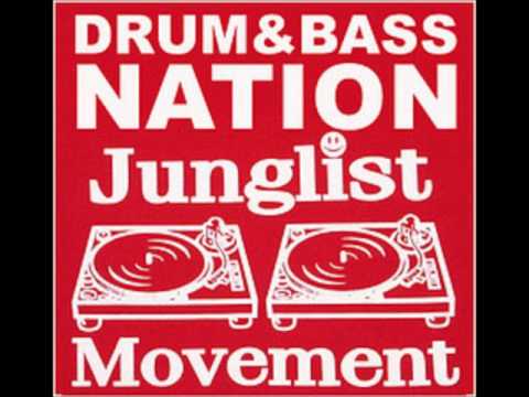 Drum'n Bass Reggae - Junglist Movement