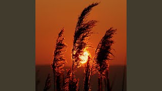 Download lagu Ayo Ngaji mp3 Download lagu Ayo Ngaji mp3