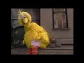 Sesame Street Big Bird Meets A Rockhead