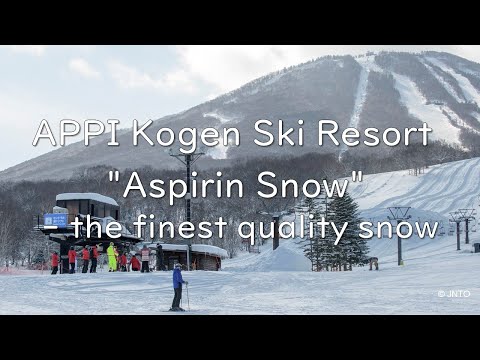 APPI Kogen Ski Resort (in Iwate): The best quality snow, known as "Aspirin Snow"
