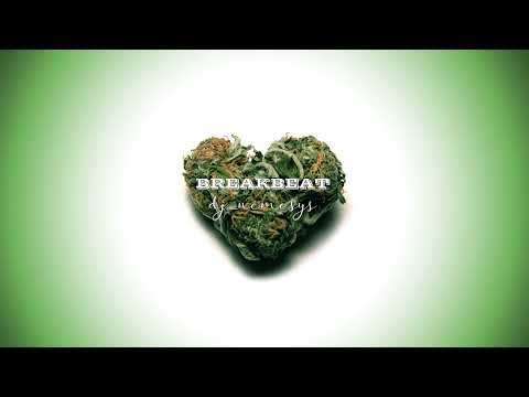 BREAKBEAT SESSION # 267 mixed by dj_némesys 💚​