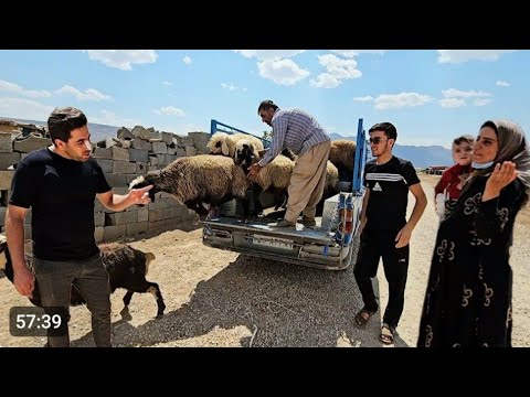 "A Whirlwind of Emotions: Ali's Love for Sakineh Amidst the Chaos of Karim"