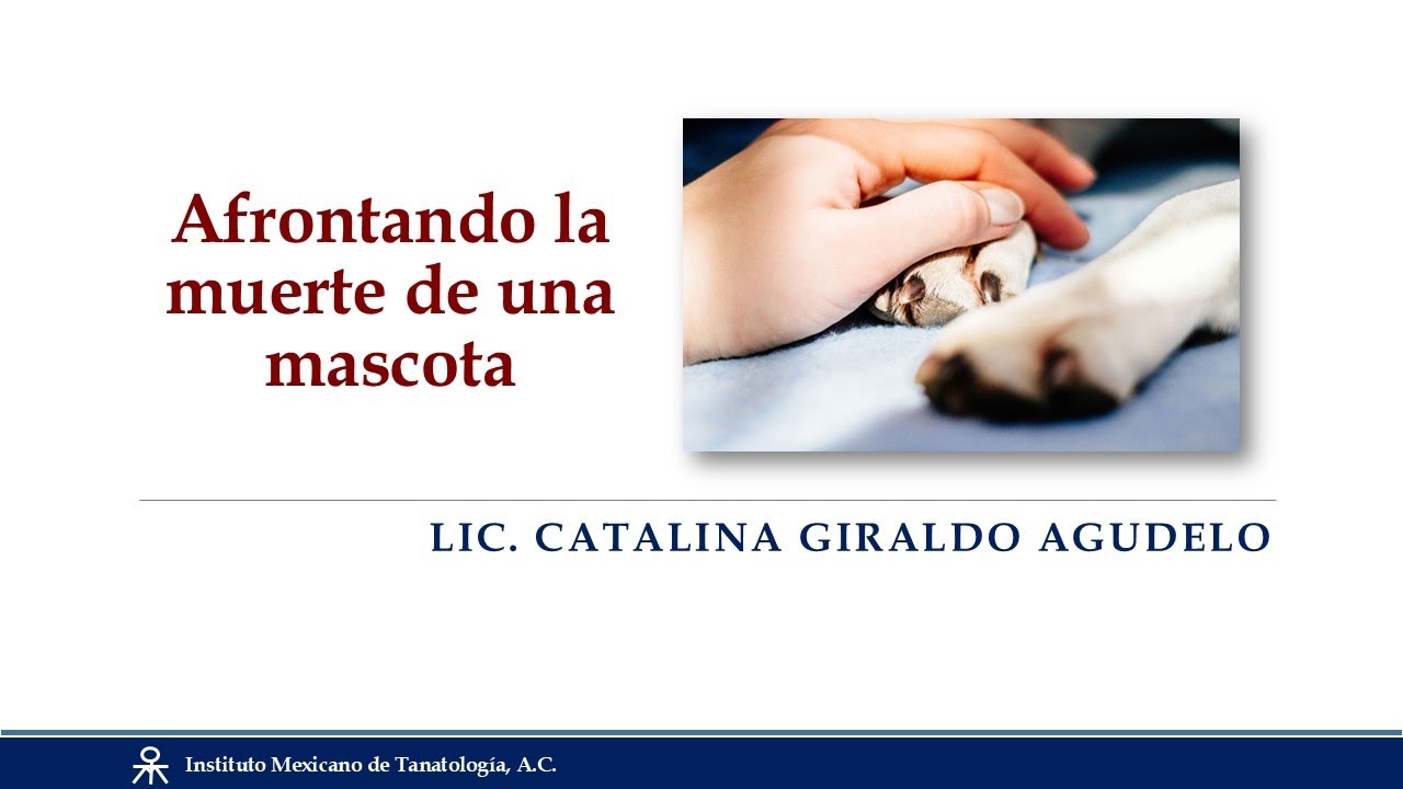 Catalina Giraldo Agudelo-4