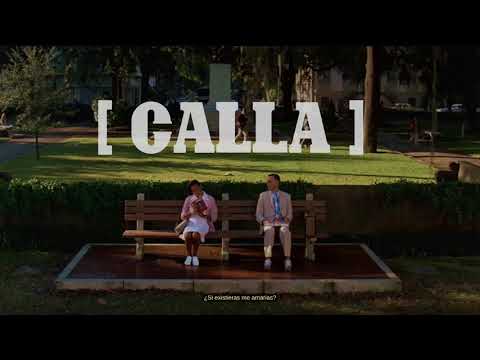 Logoz - Calla 💽