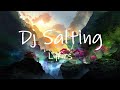 Dj Salting - DJ Mbon Mbon [TikTok Remix] (Lyrics) | ko bilang ko tu paling manis aduh mama e
