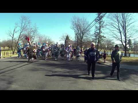 FRALINGER STRING BAND - IRISH MOLLY