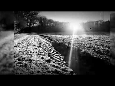 Bas Menninga - Papa (Grunnegs) (Stef Bos cover)