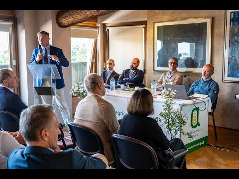 ORZINUOVI FAIR - Teletutto Special