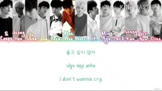 Download lagu Seventeen don't wanna cry lyrics mp3 Download lagu Seventeen don't wanna cry lyrics mp3