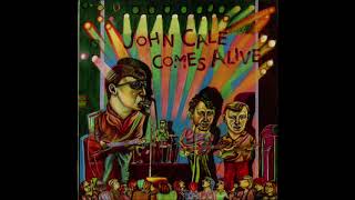 John Cale - Evidence (Live &#39;84)