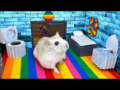 Hamster Sophie #9 🐹 Hamster Escapes the Pop It Maze for Pets in real life 🐹