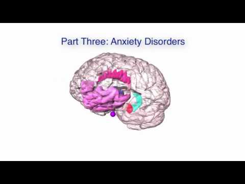 A 3D Visual Guide to Depression and Anxiety: Part 3 - Anxiety Disorders