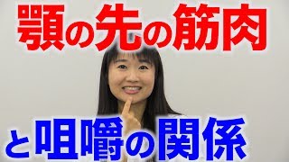 あごの先の筋肉は咀嚼には関係しない？