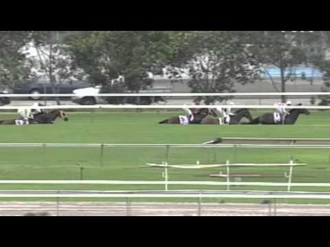 2005 Ranvet Stakes- Grand Armee