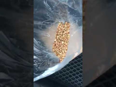 Горох колотый