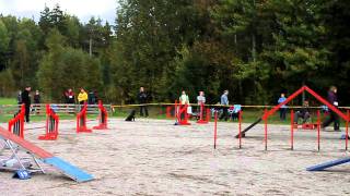 preview picture of video 'Noora Ja Pinni 18.6.2010 agility Rauma.MOV'