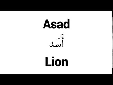 How to Pronounce Asad! - Middle Eastern Names