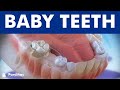 Baby teeth and the use of space maintainers © - Clínica Médico Dental Pardiñas Baby teeth and the use of space maintainers ©