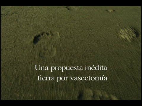 Una propuesta inédita