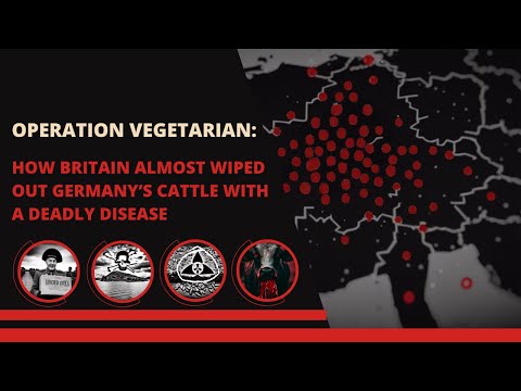 Anthrax Cakes: The Deadly Weapon of World War II