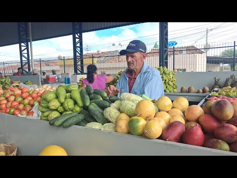 08/06/2026 FEIRA  NO MERCADO PÚBLICO NA CIDADE DE CUSTÓDIA PERNAMBUCO BRASIL BRASIL 