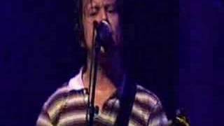 Penguins and Polarbears (disney time, birdie)  Live Paradiso