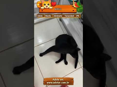 Vídeo de Salem 