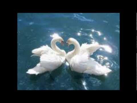 ♥ Tia ft Arindy MC & Krunic - Obecaj ♥