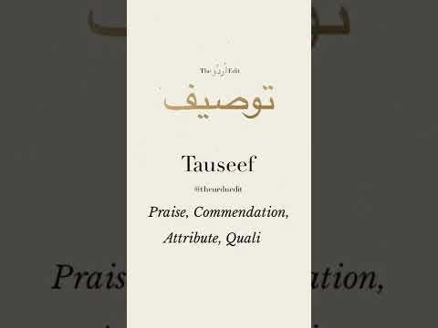 Tauseef Name Status With best music video 🎶🎵