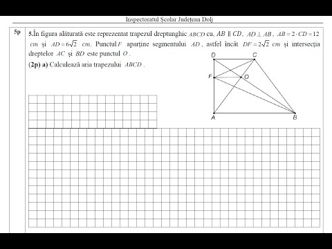 Simulare evaluare naţională ISJ Dolj - februarie 2023 - sub. III