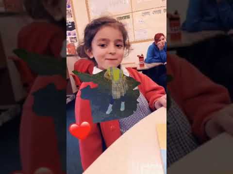 grofo x leo 2023 - hey tu bachtali