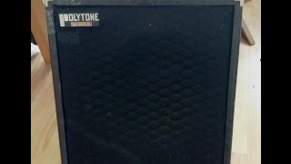 Video thumbnail for #Polytone mini brute IV by Derk Groen